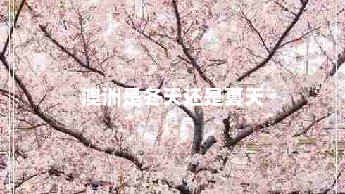 澳洲是冬天還是夏天