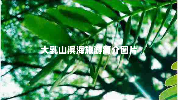 大乳山濱海旅游簡(jiǎn)介圖片 大乳山濱海旅游簡(jiǎn)介圖片