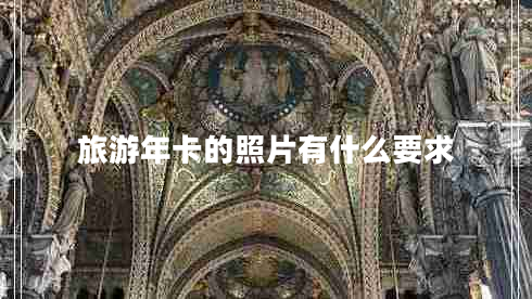 旅游年卡的照片有什么要求