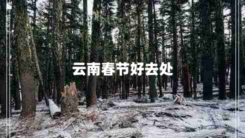 云南春節好去處