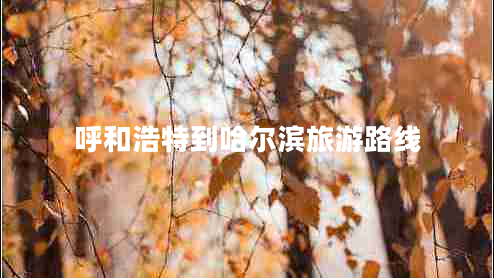 呼和浩特到哈爾濱旅游路線(xiàn)