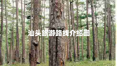 汕頭旅游路線(xiàn)介紹圖