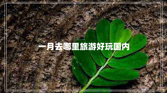 一月去哪里旅游好玩國內