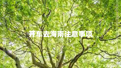 開(kāi)車(chē)去海南注意事項
