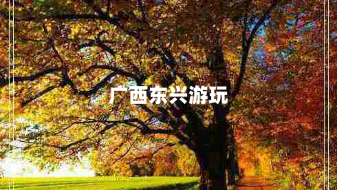 廣西東興游玩