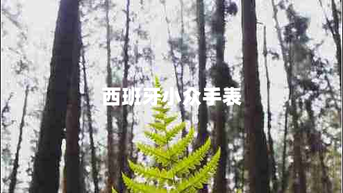 西班牙小眾手表 西班牙小眾手表