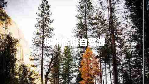 郴州旅游自駕游 郴州旅游自駕游