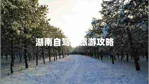 湖南自駕游旅游攻略
