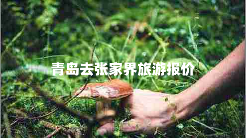 青島去張家界旅游報價(jià)