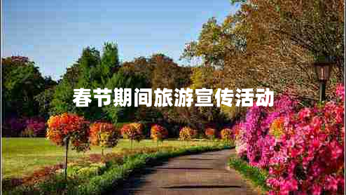 春節期間旅游宣傳活動(dòng)