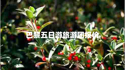 巴黎五日游旅游團報價(jià)