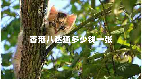 香港八達通多少錢(qián)一張