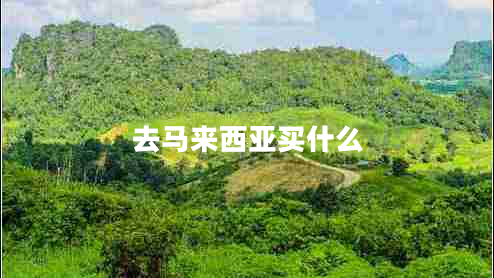 去馬來(lái)西亞買(mǎi)什么