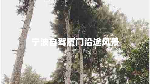 寧波自駕廈門(mén)沿途風(fēng)景