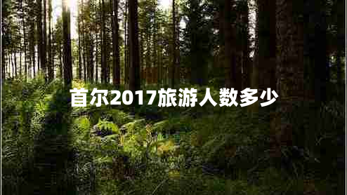 首爾2017旅游人數多少