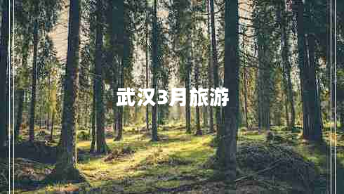 武漢3月旅游