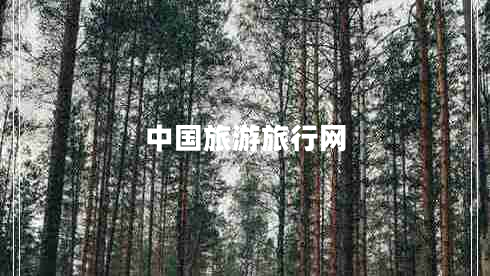 中國旅游旅行網(wǎng)