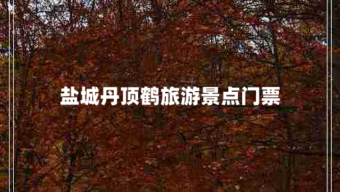 鹽城丹頂鶴旅游景點(diǎn)門(mén)票