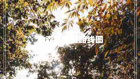 小森林旅游路線(xiàn)圖