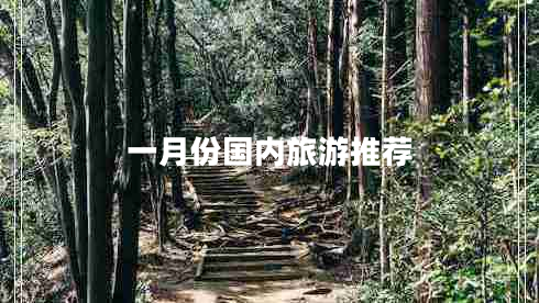 一月份國內旅游推薦 一月份國內旅游推薦