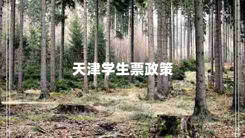 天津學(xué)生票政策