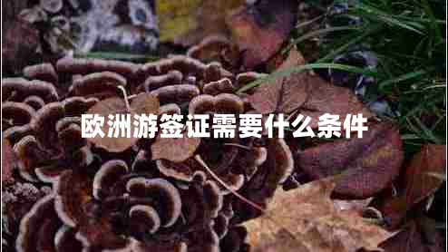 歐洲游簽證需要什么條件