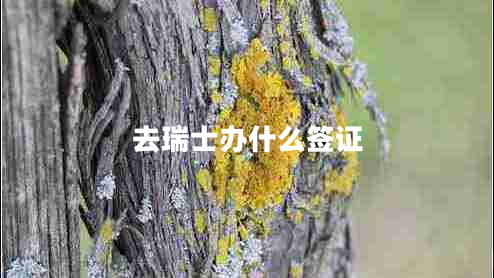 去瑞士辦什么簽證 去瑞士辦什么簽證