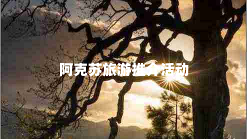 阿克蘇旅游推介活動(dòng)