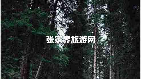 張家界旅游網(wǎng)