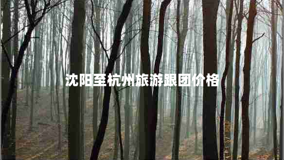 沈陽(yáng)至杭州旅游跟團價(jià)格