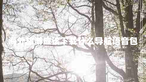 海外旅游應該下載什么導航語(yǔ)音包