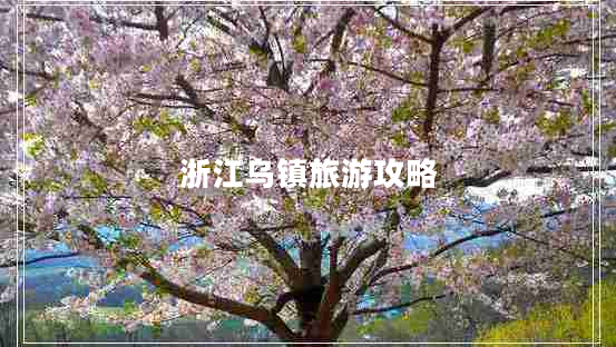 浙江烏鎮旅游攻略