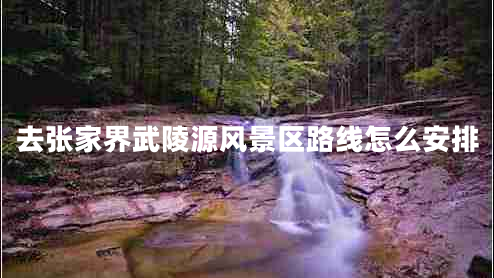 去張家界武陵源風(fēng)景區路線(xiàn)怎么安排