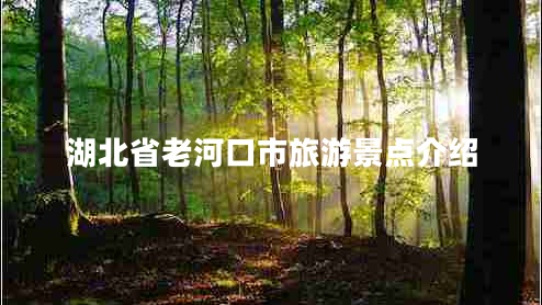 湖北省老河口市旅游景點(diǎn)介紹