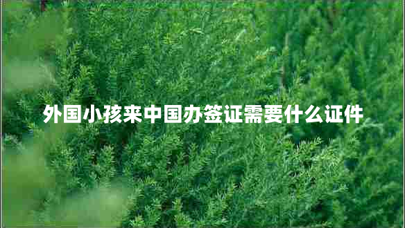 外國小孩來(lái)中國辦簽證需要什么證件