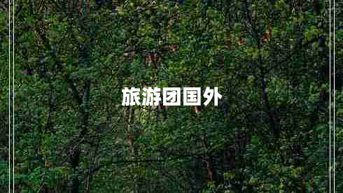 旅游團國外