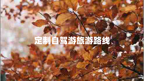 定制自駕游旅游路線(xiàn)