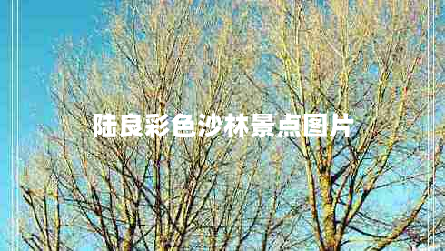 陸良彩色沙林景點(diǎn)圖片 陸良彩色沙林景點(diǎn)圖片