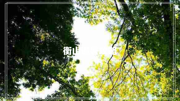 衡山避暑攻略 衡山避暑攻略