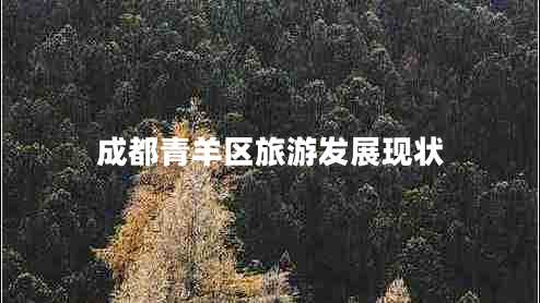 成都青羊區旅游發(fā)展現狀