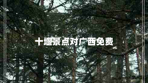 十堰景點(diǎn)對廣西免費