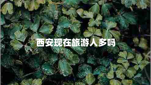 西安現在旅游人多嗎