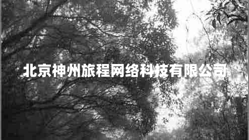 北京神州旅程網(wǎng)絡(luò )科技有限公司