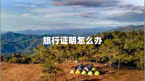 旅行證明怎么辦
