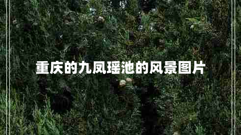 重慶的九鳳瑤池的風(fēng)景圖片