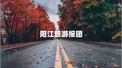 陽(yáng)江旅游報團