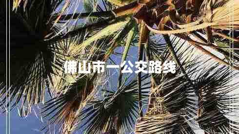 佛山市一公交路線(xiàn) 佛山市一公交路線(xiàn)