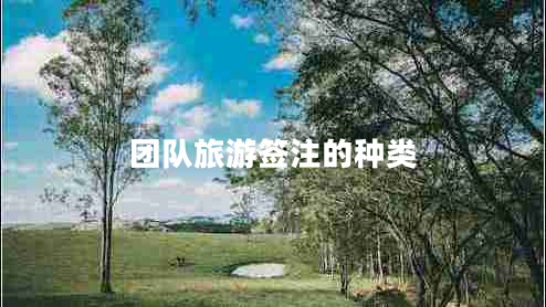 團隊旅游簽注的種類(lèi)