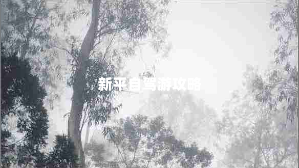 新平自駕游攻略