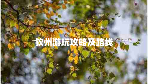 欽州游玩攻略及路線(xiàn)